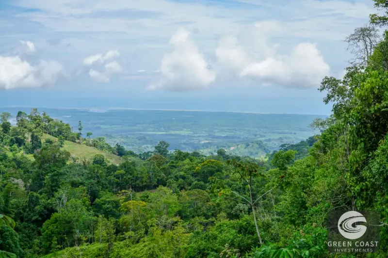 Panoramic Ocean View Ridge: 78 Acres of Prime Development Land in Osa — view 48, Ciudad Cortes, Osa, Costa Rica
