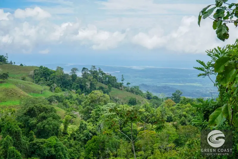 Panoramic Ocean View Ridge: 78 Acres of Prime Development Land in Osa — view 51, Ciudad Cortes, Osa, Costa Rica