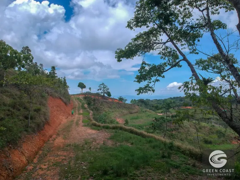 Panoramic Ocean View Ridge: 78 Acres of Prime Development Land in Osa — view 54, Ciudad Cortes, Osa, Costa Rica