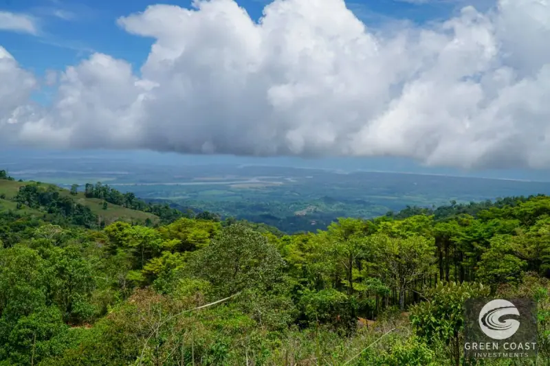 Panoramic Ocean View Ridge: 78 Acres of Prime Development Land in Osa — view 55, Ciudad Cortes, Osa, Costa Rica