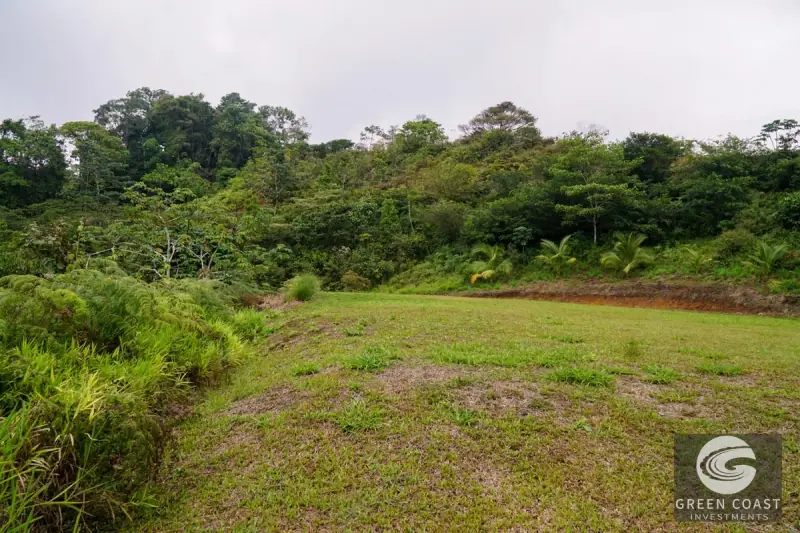 Panoramic Ocean View Ridge: 78 Acres of Prime Development Land in Osa — view 58, Ciudad Cortes, Osa, Costa Rica