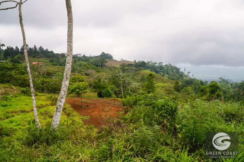 Panoramic Ocean View Ridge: 78 Acres of Prime Development Land in Osa — view 60, Ciudad Cortes, Osa, Costa Rica
