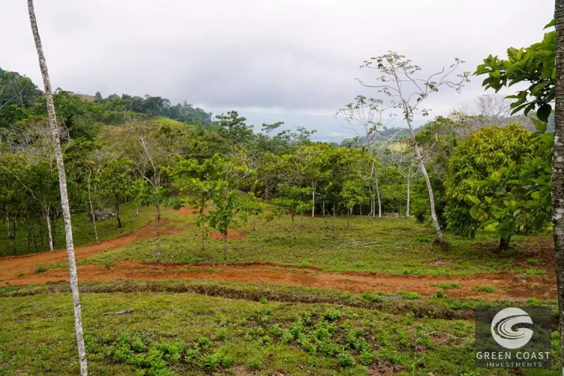Panoramic Ocean View Ridge: 78 Acres of Prime Development Land in Osa — view 61, Ciudad Cortes, Osa, Costa Rica