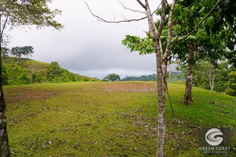 Panoramic Ocean View Ridge: 78 Acres of Prime Development Land in Osa — view 62, Ciudad Cortes, Osa, Costa Rica
