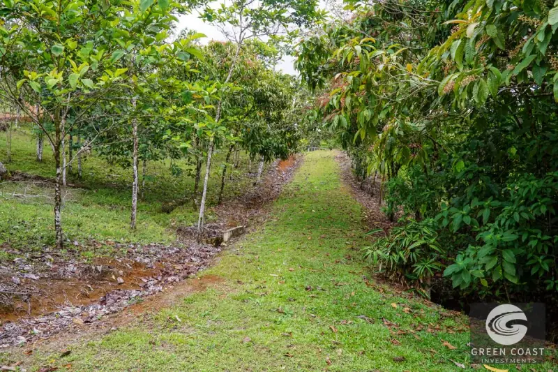 Panoramic Ocean View Ridge: 78 Acres of Prime Development Land in Osa — view 63, Ciudad Cortes, Osa, Costa Rica