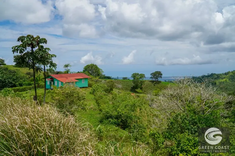 Panoramic Ocean View Ridge: 78 Acres of Prime Development Land in Osa — view 64, Ciudad Cortes, Osa, Costa Rica