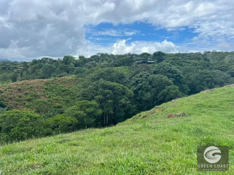 47-Acre Mountain View Development Estate with Natural Springs and Waterfalls near Dominical — view 2, Platanillo, Perez Zeledon, Costa Rica