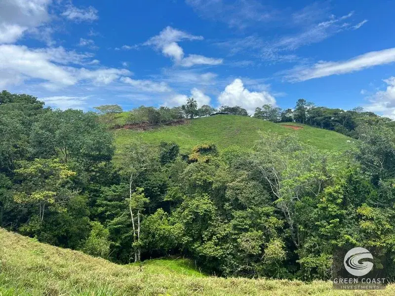 47-Acre Mountain View Development Estate with Natural Springs and Waterfalls near Dominical — view 12, Platanillo, Perez Zeledon, Costa Rica