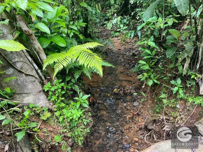 47-Acre Mountain View Development Estate with Natural Springs and Waterfalls near Dominical — view 15, Platanillo, Perez Zeledon, Costa Rica
