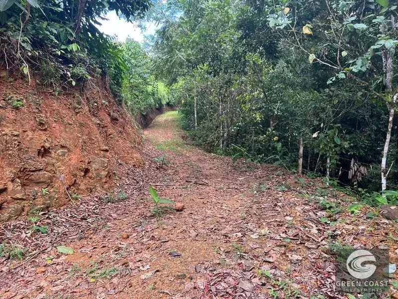 47-Acre Mountain View Development Estate with Natural Springs and Waterfalls near Dominical — view 17, Platanillo, Perez Zeledon, Costa Rica