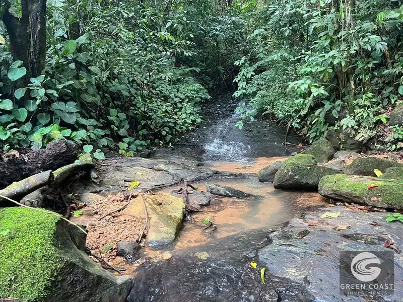 47-Acre Mountain View Development Estate with Natural Springs and Waterfalls near Dominical — view 18, Platanillo, Perez Zeledon, Costa Rica
