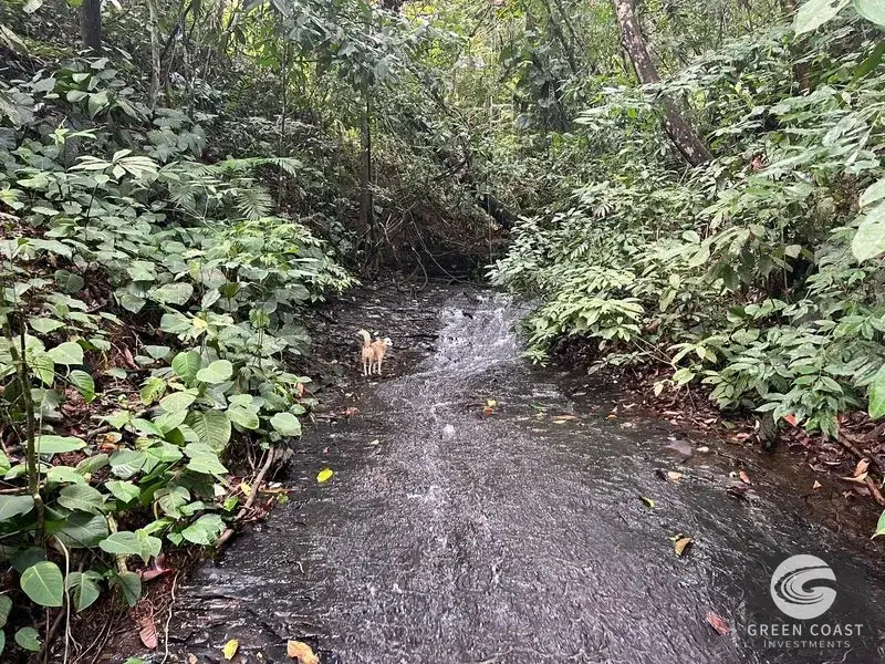 47-Acre Mountain View Development Estate with Natural Springs and Waterfalls near Dominical — view 20, Platanillo, Perez Zeledon, Costa Rica