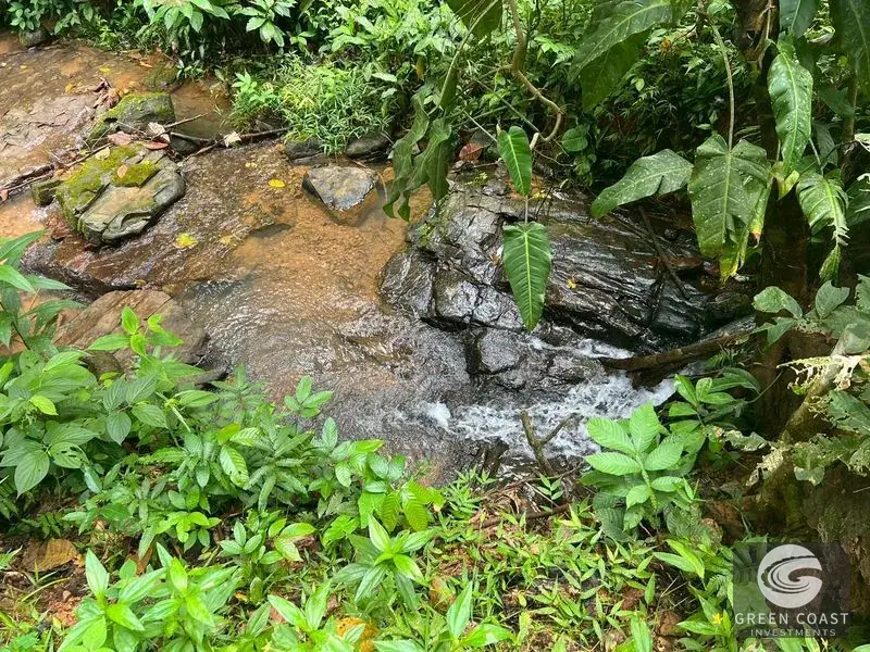 47-Acre Mountain View Development Estate with Natural Springs and Waterfalls near Dominical — view 21, Platanillo, Perez Zeledon, Costa Rica