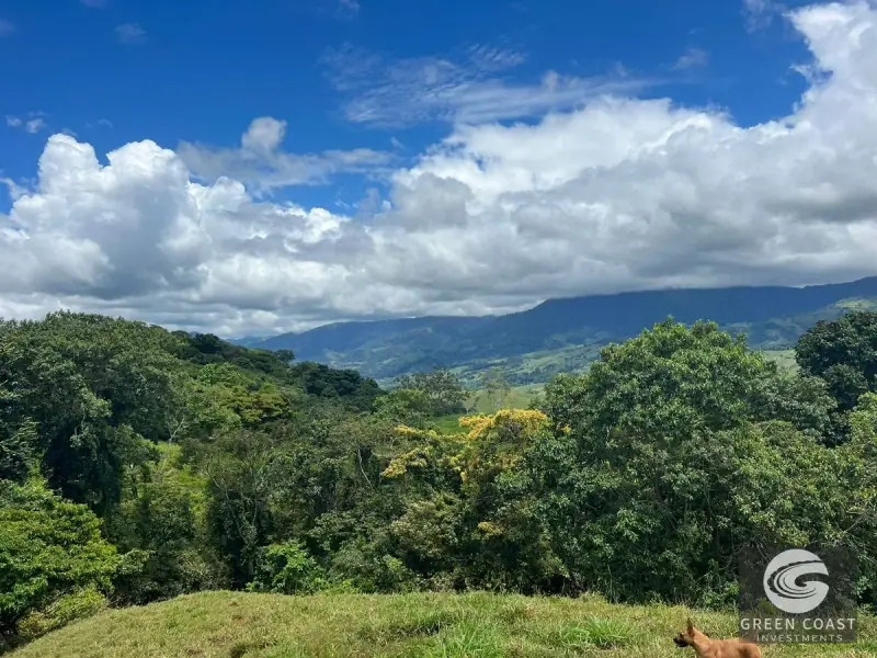 47-Acre Mountain View Development Estate with Natural Springs and Waterfalls near Dominical — view 39, Platanillo, Perez Zeledon, Costa Rica