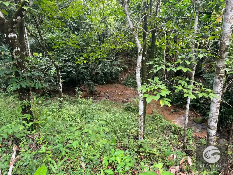 47-Acre Mountain View Development Estate with Natural Springs and Waterfalls near Dominical — view 42, Platanillo, Perez Zeledon, Costa Rica