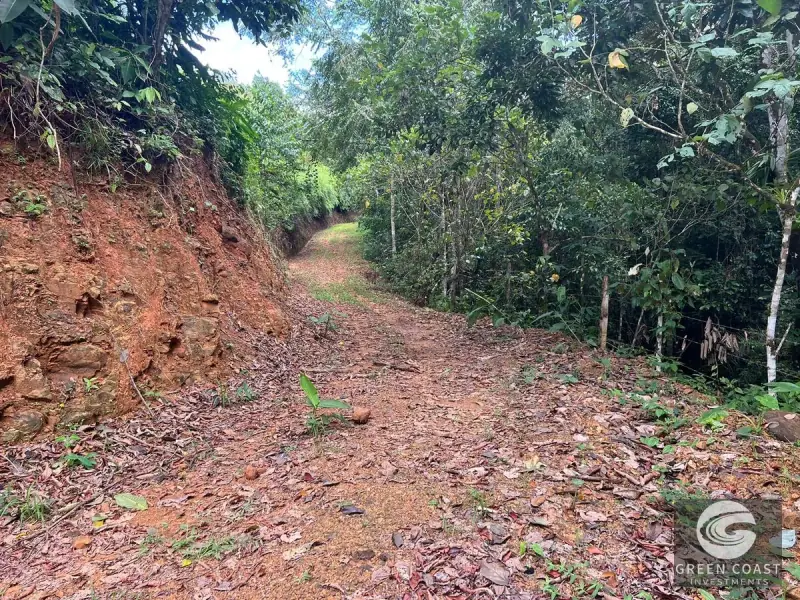 47-Acre Mountain View Development Estate with Natural Springs and Waterfalls near Dominical — view 43, Platanillo, Perez Zeledon, Costa Rica