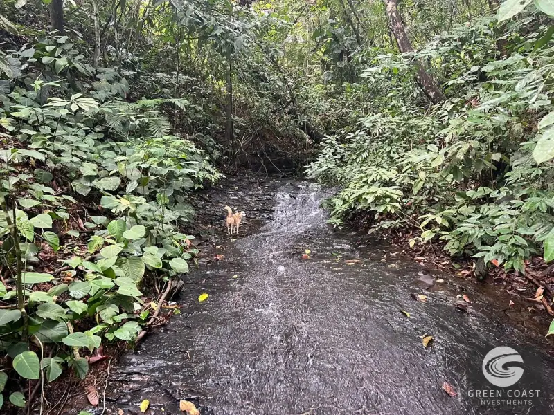 47-Acre Mountain View Development Estate with Natural Springs and Waterfalls near Dominical — view 46, Platanillo, Perez Zeledon, Costa Rica
