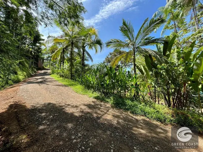 Luxury 5-BR Balinese Jungle Estate with Pool & Guest Villas in Prime Uvita — view 6, Bahía Ballena, Osa, Costa Rica