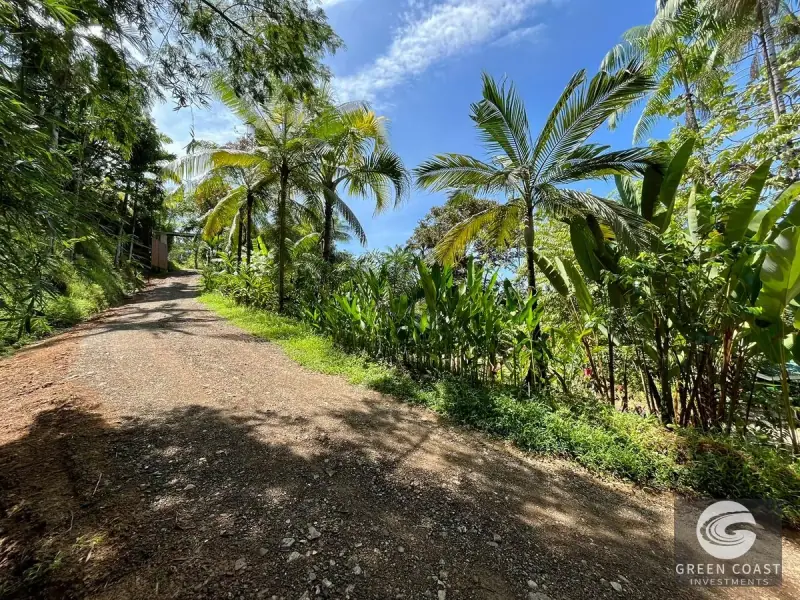 Luxury 5-BR Balinese Jungle Estate with Pool & Guest Villas in Prime Uvita — view 36, Bahía Ballena, Osa, Costa Rica
