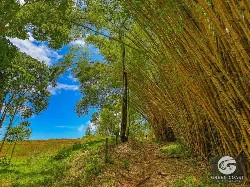 Uvita Ocean-View Ridge Estate: 16.5 Acres with Private River & Ready-to-Build Site — view 6, Uvita, Costa Rica