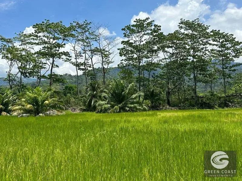 Uvita Ocean-View Ridge Estate: 16.5 Acres with Private River & Ready-to-Build Site — view 19, Uvita, Costa Rica