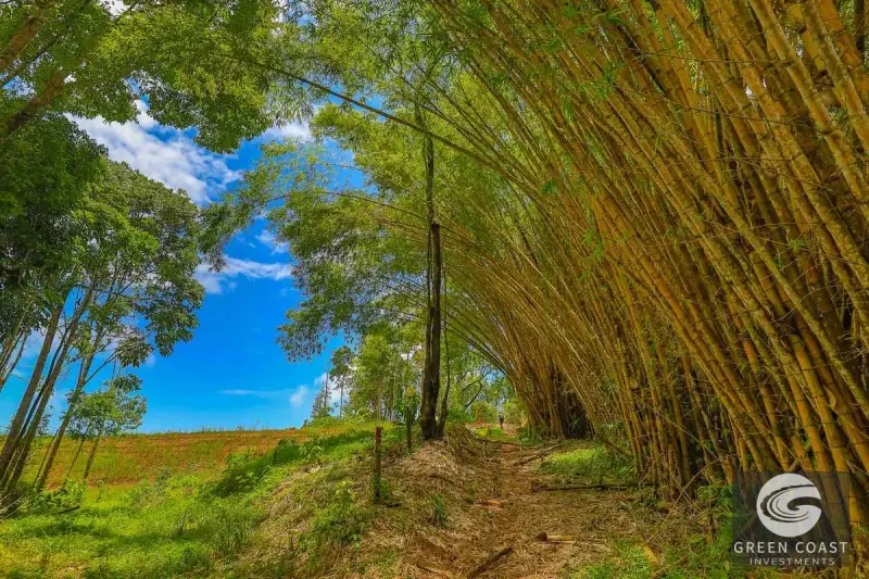 Uvita Ocean-View Ridge Estate: 16.5 Acres with Private River & Ready-to-Build Site — view 26, Uvita, Costa Rica