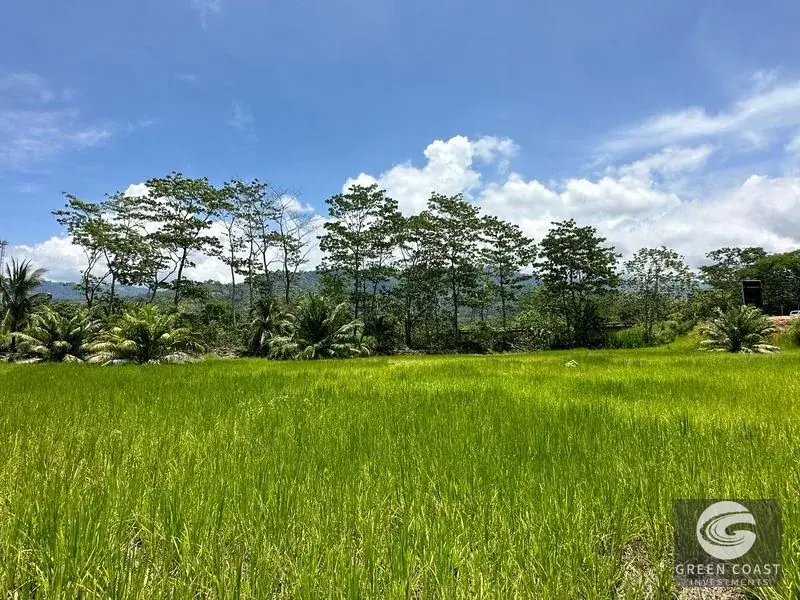 Prime Uvita Riverfront Commercial Lot: Over an Acre of High-Visibility Development Potential — view 2, Uvita, Costa Rica