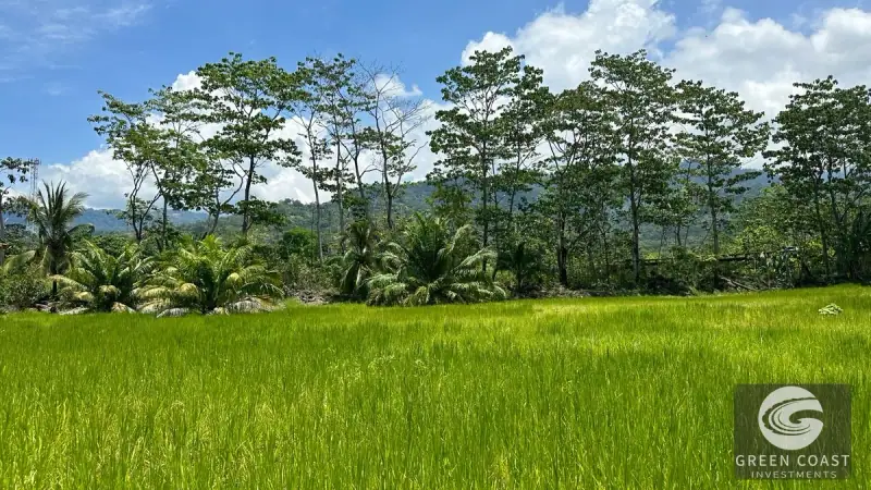 Prime Uvita Riverfront Commercial Lot: Over an Acre of High-Visibility Development Potential — view 11, Uvita, Costa Rica