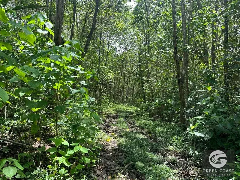 Prime 45-Hectare Development Land with Luxury Views Near Future Southern Costa Rica Airport — view 3, Palmar, Osa, Costa Rica