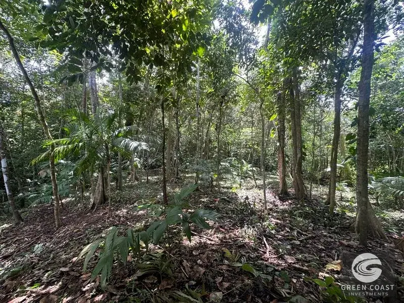 Prime 45-Hectare Development Land with Luxury Views Near Future Southern Costa Rica Airport — view 4, Palmar, Osa, Costa Rica