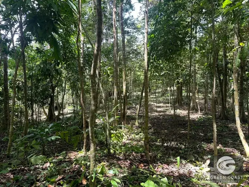 Prime 45-Hectare Development Land with Luxury Views Near Future Southern Costa Rica Airport — view 6, Palmar, Osa, Costa Rica