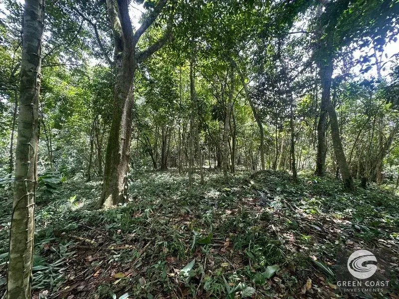 Prime 45-Hectare Development Land with Luxury Views Near Future Southern Costa Rica Airport — view 8, Palmar, Osa, Costa Rica
