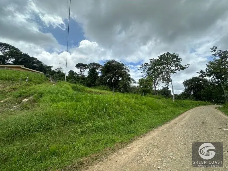 Prime 45-Hectare Development Land with Luxury Views Near Future Southern Costa Rica Airport — view 13, Palmar, Osa, Costa Rica