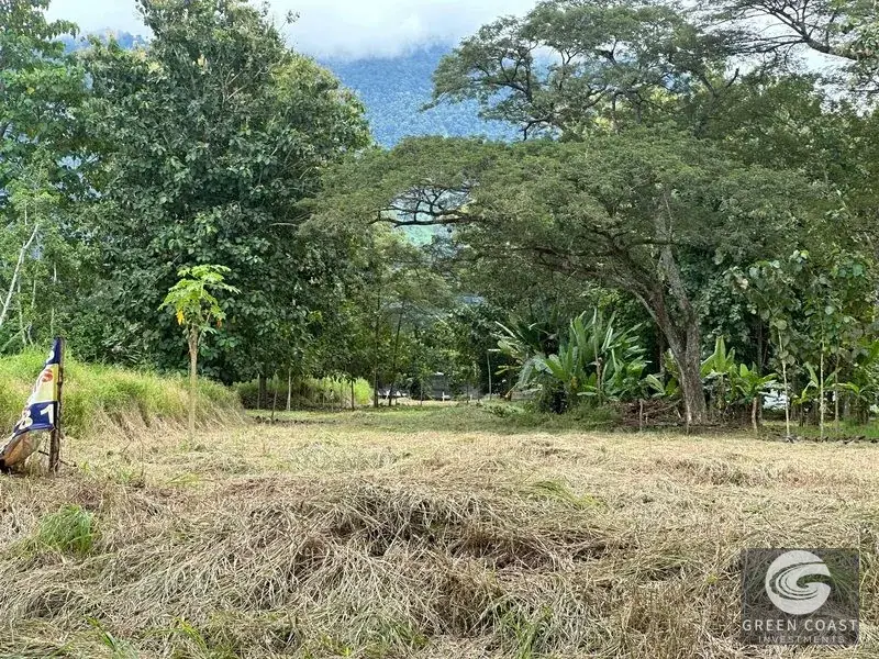 Prime 45-Hectare Development Land with Luxury Views Near Future Southern Costa Rica Airport — view 15, Palmar, Osa, Costa Rica