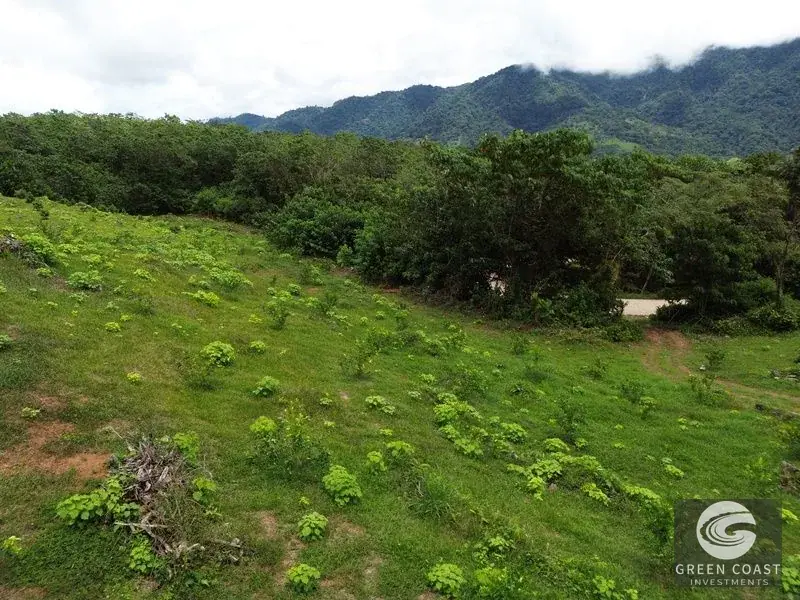 Prime 45-Hectare Development Land with Luxury Views Near Future Southern Costa Rica Airport — view 17, Palmar, Osa, Costa Rica