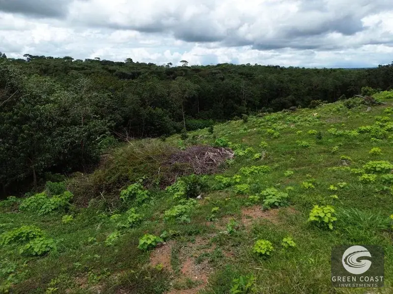 Prime 45-Hectare Development Land with Luxury Views Near Future Southern Costa Rica Airport — view 19, Palmar, Osa, Costa Rica