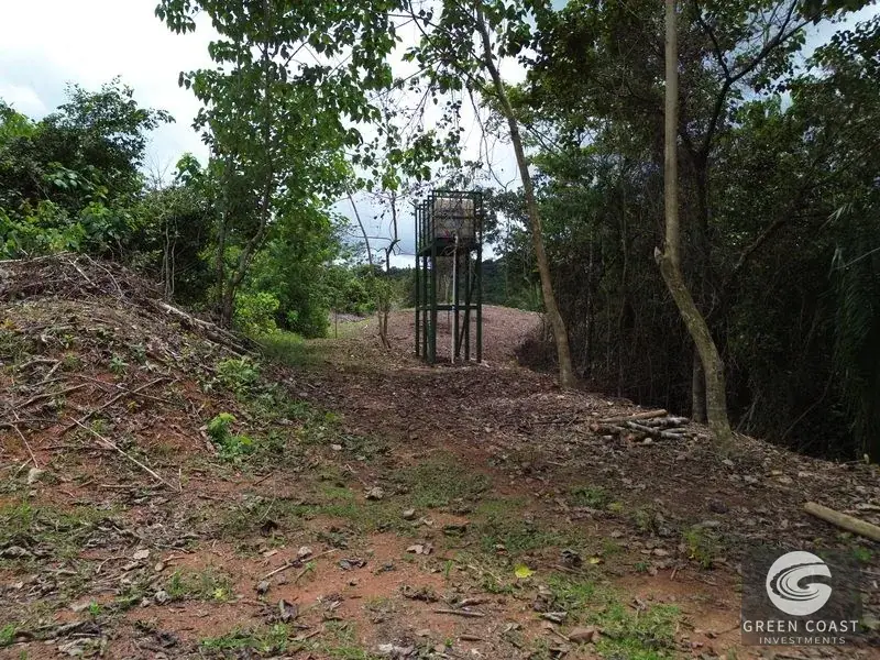 Prime 45-Hectare Development Land with Luxury Views Near Future Southern Costa Rica Airport — view 26, Palmar, Osa, Costa Rica