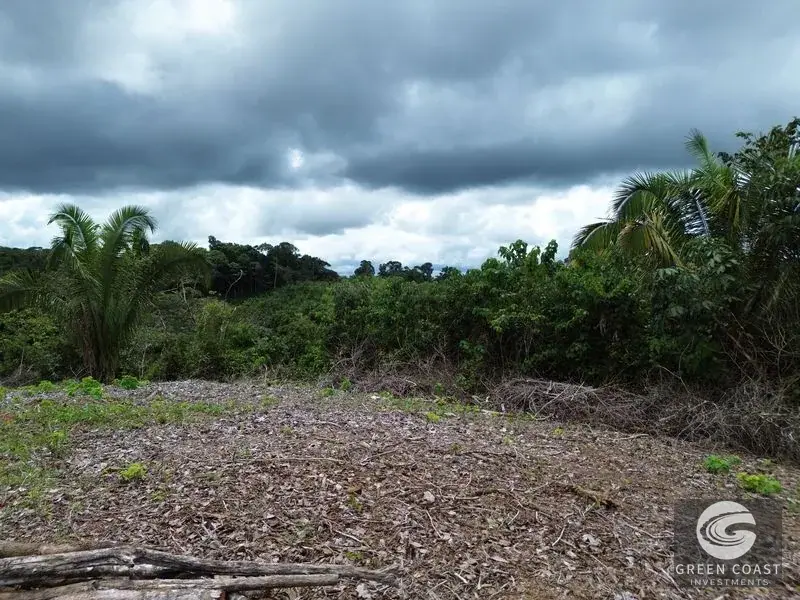 Prime 45-Hectare Development Land with Luxury Views Near Future Southern Costa Rica Airport — view 27, Palmar, Osa, Costa Rica