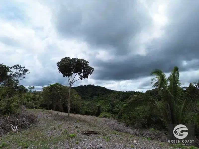 Prime 45-Hectare Development Land with Luxury Views Near Future Southern Costa Rica Airport — view 28, Palmar, Osa, Costa Rica