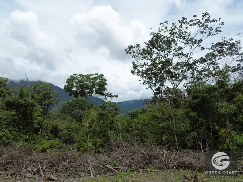 Prime 45-Hectare Development Land with Luxury Views Near Future Southern Costa Rica Airport — view 29, Palmar, Osa, Costa Rica