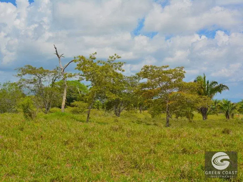 Prime 45-Hectare Development Land with Luxury Views Near Future Southern Costa Rica Airport — view 30, Palmar, Osa, Costa Rica