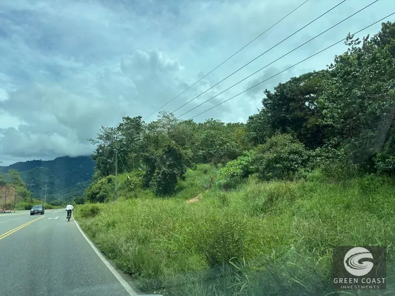 Prime 45-Hectare Development Land with Luxury Views Near Future Southern Costa Rica Airport — view 35, Palmar, Osa, Costa Rica