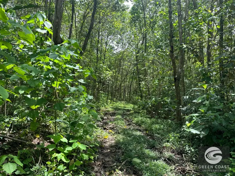 Prime 45-Hectare Development Land with Luxury Views Near Future Southern Costa Rica Airport — view 36, Palmar, Osa, Costa Rica