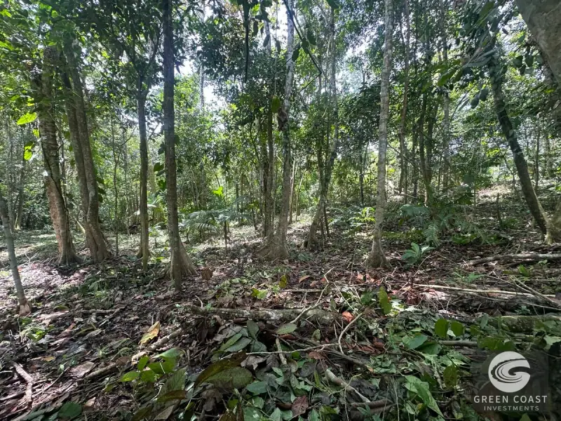 Prime 45-Hectare Development Land with Luxury Views Near Future Southern Costa Rica Airport — view 38, Palmar, Osa, Costa Rica