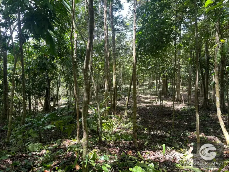 Prime 45-Hectare Development Land with Luxury Views Near Future Southern Costa Rica Airport — view 39, Palmar, Osa, Costa Rica