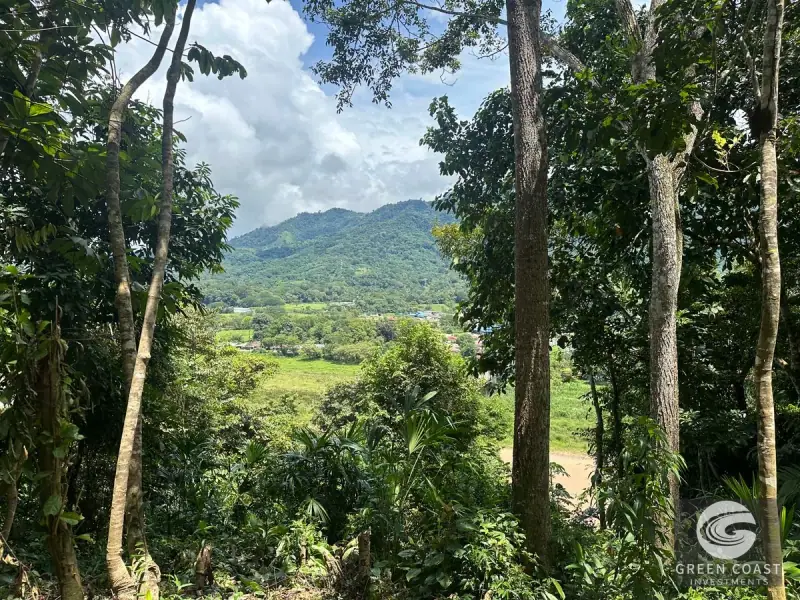 Prime 45-Hectare Development Land with Luxury Views Near Future Southern Costa Rica Airport — view 40, Palmar, Osa, Costa Rica