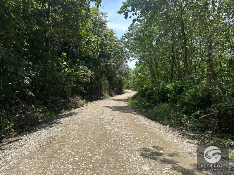 Prime 45-Hectare Development Land with Luxury Views Near Future Southern Costa Rica Airport — view 43, Palmar, Osa, Costa Rica
