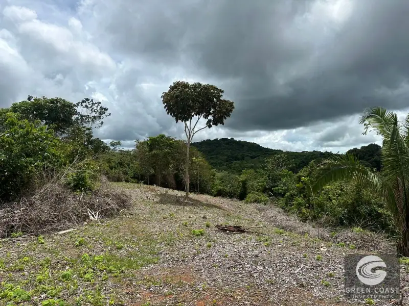 Prime 45-Hectare Development Land with Luxury Views Near Future Southern Costa Rica Airport — view 44, Palmar, Osa, Costa Rica