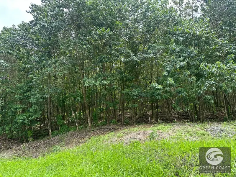 Prime 45-Hectare Development Land with Luxury Views Near Future Southern Costa Rica Airport — view 45, Palmar, Osa, Costa Rica