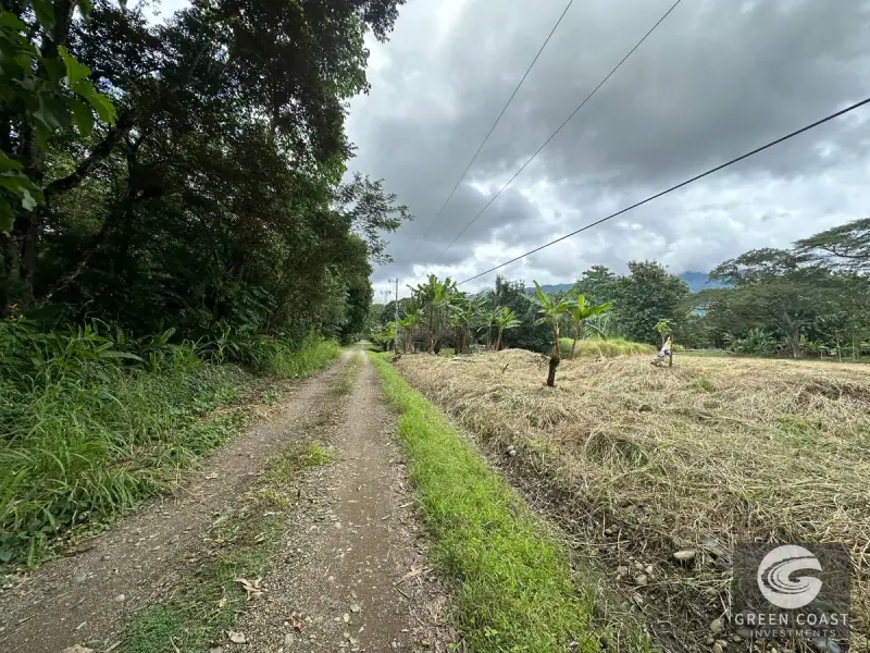 Prime 45-Hectare Development Land with Luxury Views Near Future Southern Costa Rica Airport — view 47, Palmar, Osa, Costa Rica